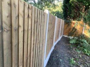 Featherboard fencing in a garden