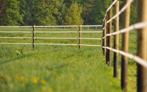 Fencing in a paddock for horses